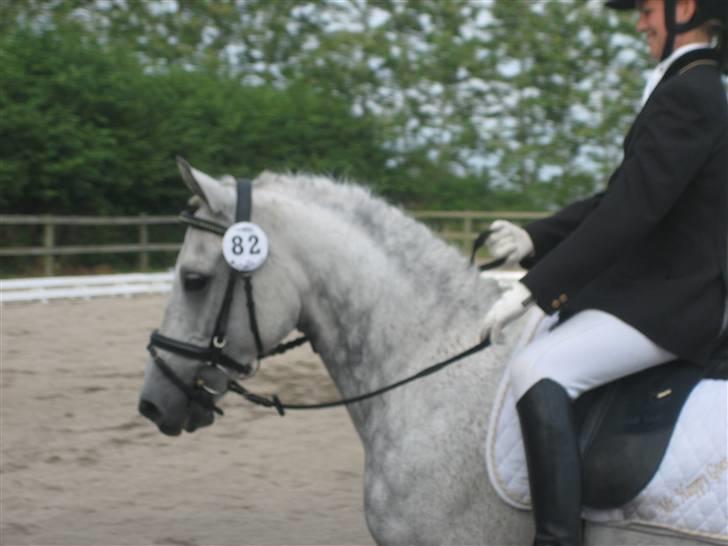 DSP Mr. Happy Goes Lucky billede 4