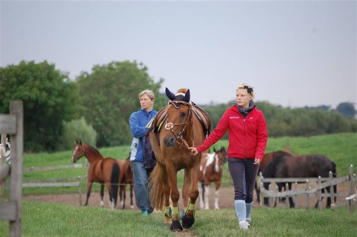 Anden særlig race Bounty <3 - 11 ) stævne 1&2 august Ld - hold billede 5