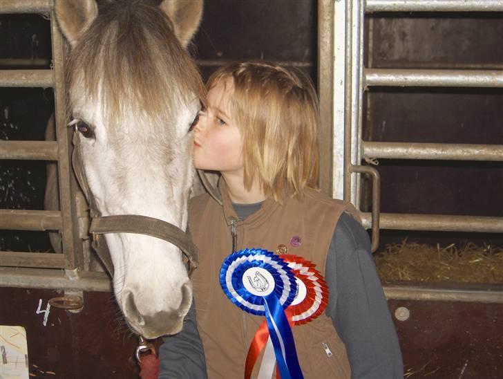 Anden særlig race sille - Solgt - Mesteren for da lige et kyss.... <3 billede 13