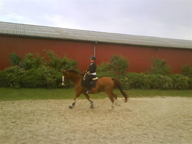 Anden særlig race Paw den dejlige...<3 billede 15