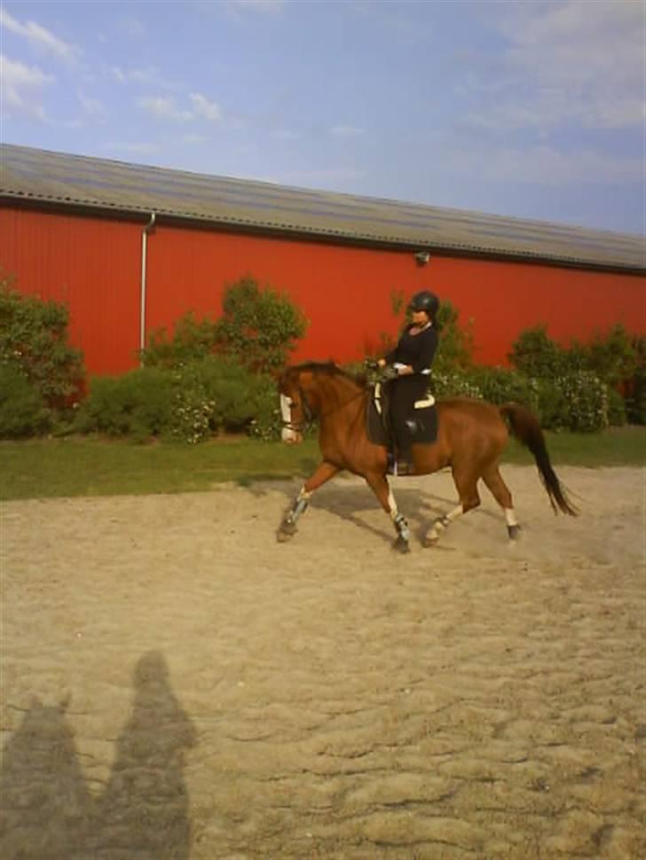 Anden særlig race Paw den dejlige...<3 billede 16