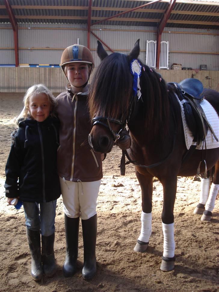 Anden særlig race Selina  - solgt - - mie vandt første pladsen, de havde dog ikke en rød roset, den får hun om en uge.... billede 15