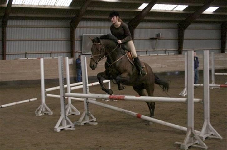 Fuldblod (XX) Capzeda xx - Springtræning 6/10 billede 9