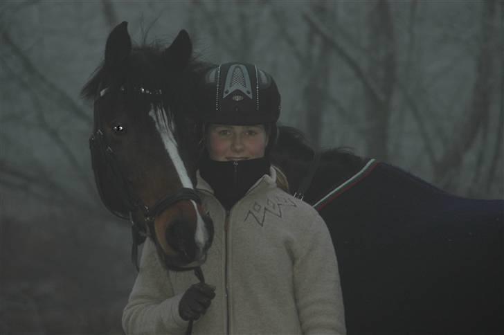 Anden særlig race Zeus SOLGT - Zeus januar 2009.  billede 8