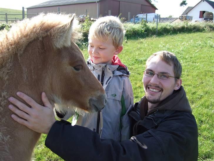 Islænder Freja fra Højbjerg - Freja, Mikkel og Flemming 16 ept 07. billede 5