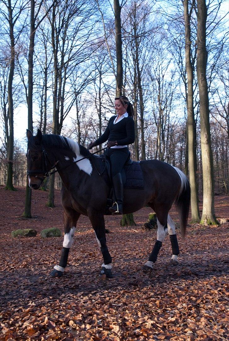 Pinto Magic Power billede 19