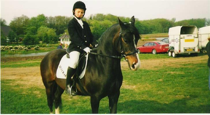 Anden særlig race Blackie - Da jeg voksede fra Blackie, begyndte Sarah at ride på hende. Her er de sammen til stævne. Hun var ca. 19 år billede 1