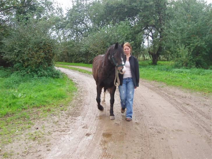 Anden særlig race Blackie - Da vi købte ejendom var det en stor og tårefremkaldende dag, da Blackie omsider kunne betræde sit sidste hjem, noget vi havde ønsket i 14 år... ;o) billede 5