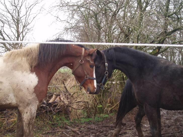 Pinto Awatuyi - Mudder-Awatuyi hilser på den smukke dame billede 9