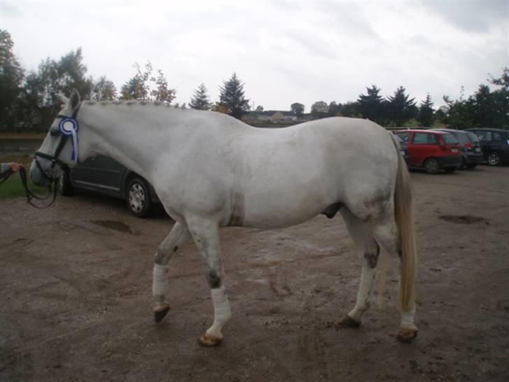 Anden særlig race Kærvangs unique - her er unique, med en 2 plads  billede 1