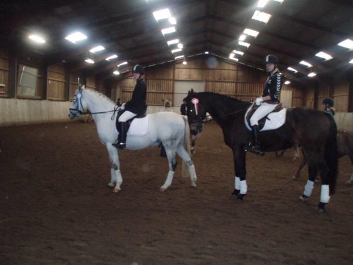 Anden særlig race Kærvangs unique - Uniqne, sofia, cecilie og seylon. billede 4