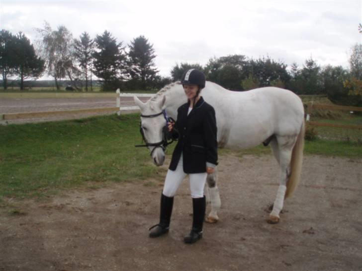 Anden særlig race Kærvangs unique - Til stævnet. billede 5