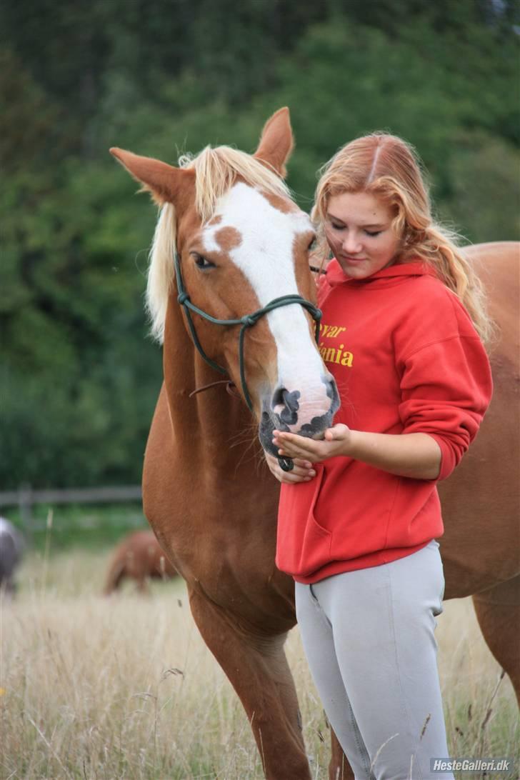 Anden særlig race Walk Of Fame *REST IN PEACE* - Fordi jeg elsker dig  <3 Foto: Majsa billede 5