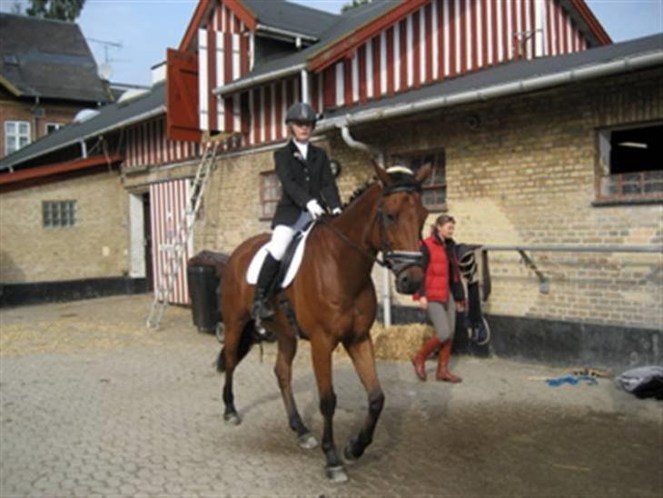 {{currentPhoto.altText}} billede {{currentPhoto.number}}