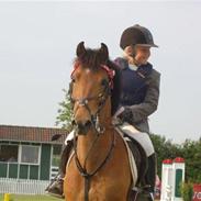 Anden særlig race Felix --SOLGT --