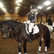 Anden særlig race Ceylon