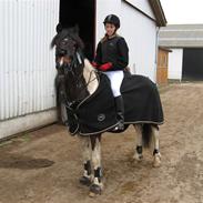 Anden særlig race Bonita R.I.P<3