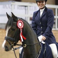 DSP Lintrupgaard Fabian solgt