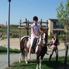 Pinto Sandy  ¤SOLGT¤