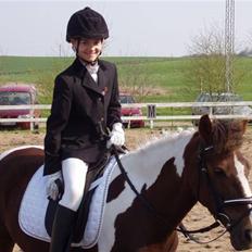 Pinto Sandy  ¤SOLGT¤