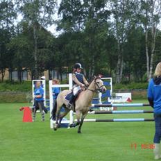 Irsk Sportspony Dun Destiny (DØD 2006)