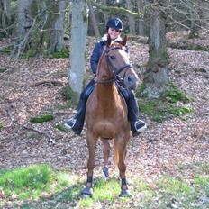 Fuldblod (XX) MINI DANCER *RIP*