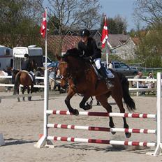 Anden særlig race Elton