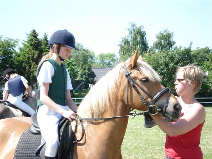 Haflinger Hope <33 - har li vundet en springklasse :D billede 15