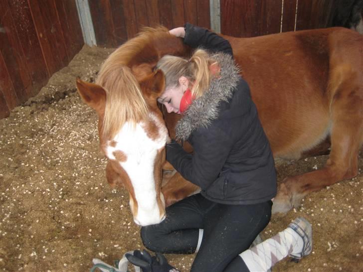 Anden særlig race Walk Of Fame *REST IN PEACE* - Fordi jeg elsker dig<3  Foto: Petra billede 7