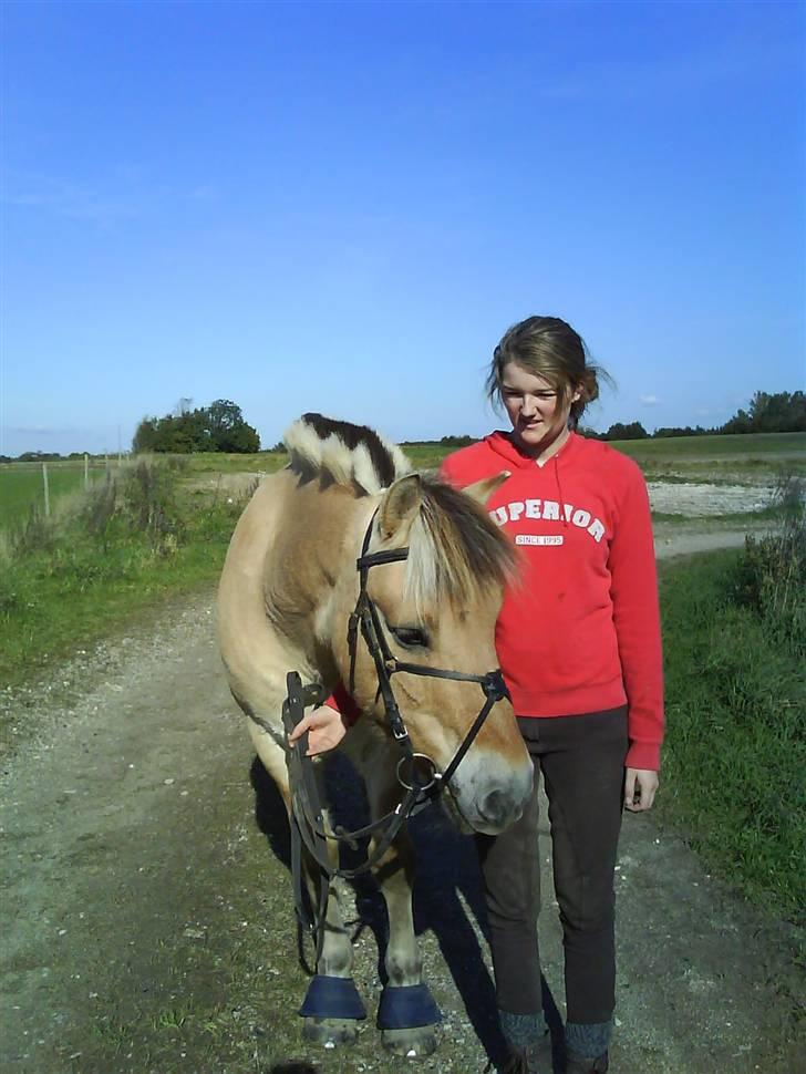 Fjordhest Prins Wilton R.I.P. :'( - Min bedste veninde og min dejlige pony <3 billede 18