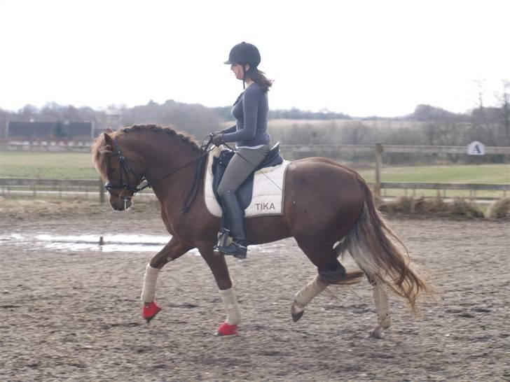 Connemara Skærgårdens First Night billede 13