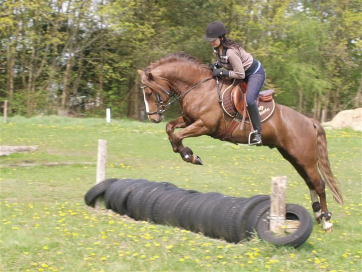 Connemara Skærgårdens First Night billede 14