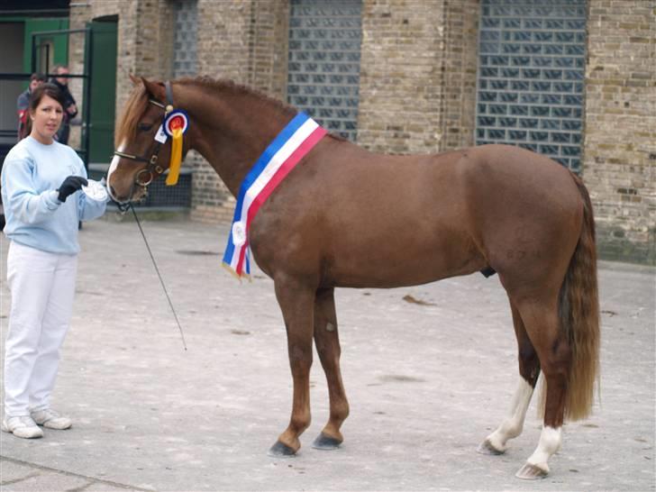 Connemara Skærgårdens First Night billede 17