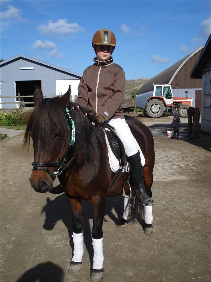 Anden særlig race Selina  - solgt - - Tillykke søde mie og selina. billede 18