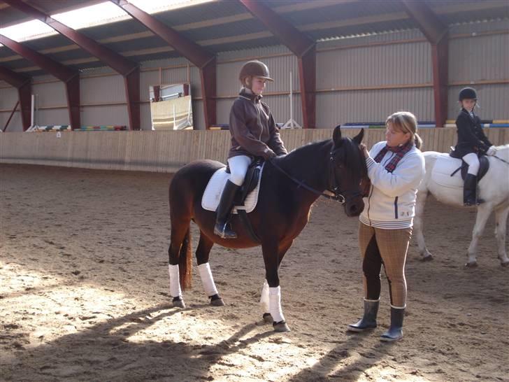 Anden særlig race Selina  - solgt - - premie uddeling billede 19