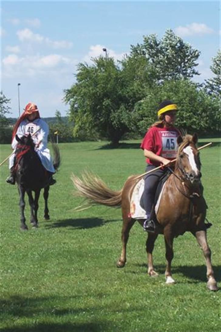 Oldenborg Saloma (DØD) - Saloma & Robin, Første gang Saloma var med og Sidste gang Robin var med. Savner den bette fyr så utrolig meget!! billede 13