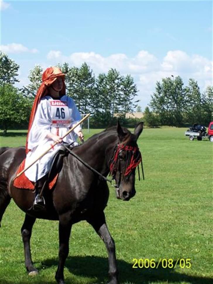 Oldenborg Saloma (DØD) - Ringridning 06 billede 14