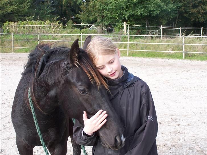 DSP Vasehøjs Lancelot  <3 Gammel part - Emmas lille stjerne <3 billede 5