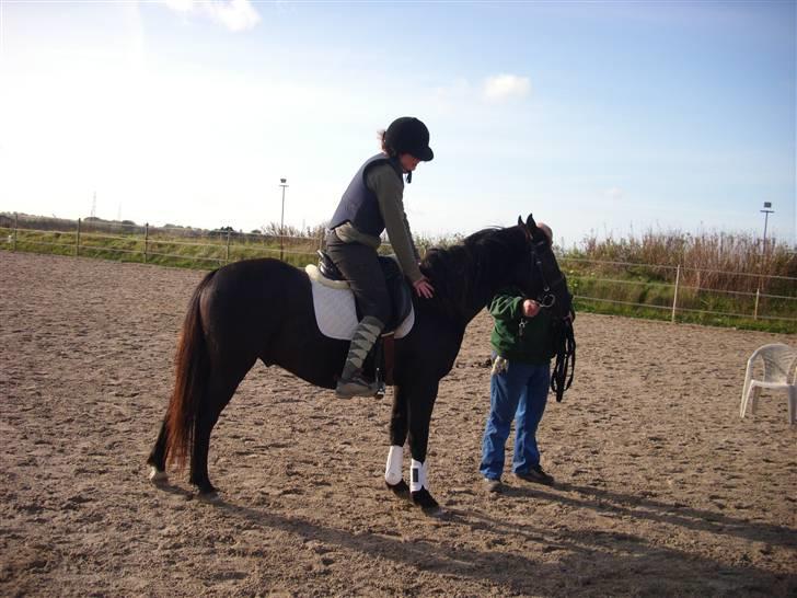 DSP Vasehøjs Lancelot  <3 Gammel part - Emmas lille stjerne <3 billede 12