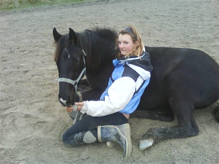 DSP Vasehøjs Lancelot  <3 Gammel part - Emmas lille stjerne <3 billede 14