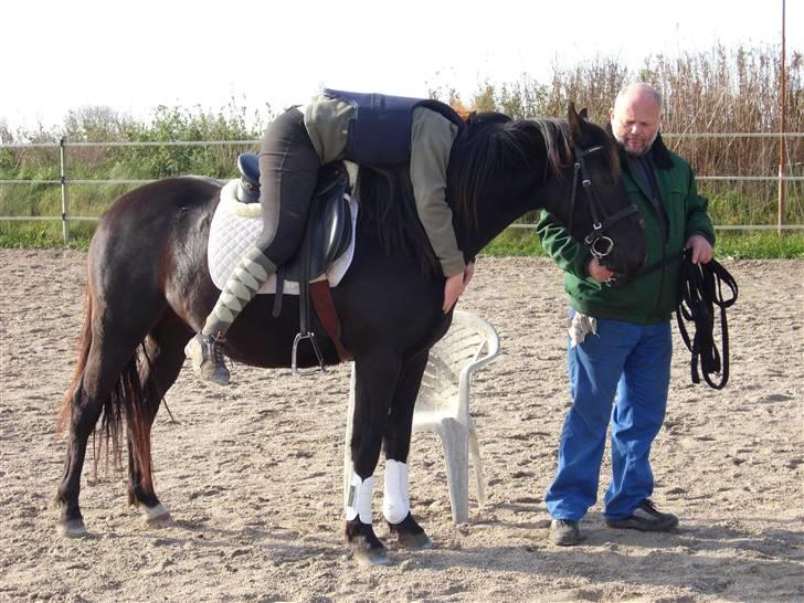 DSP Vasehøjs Lancelot  <3 Gammel part - Emmas lille stjerne <3 billede 16