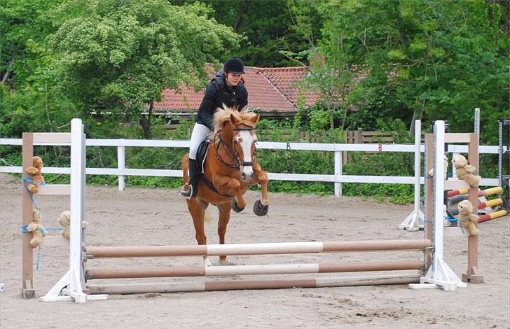 Anden særlig race Walk Of Fame *REST IN PEACE* - Fordi jeg elsker dig <3 Foto:  billede 8