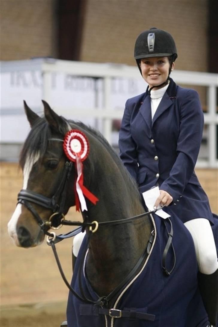 DSP Lintrupgaard Fabian solgt - Vinder af 4 års springchampionat 2007 billede 1