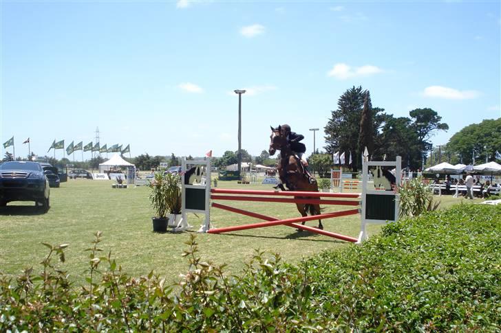 Criollo Mr. No Name - Campeonato Clausura De Salto 2007 1. meter 10. Vi vandt ud af 60 rytter. billede 12