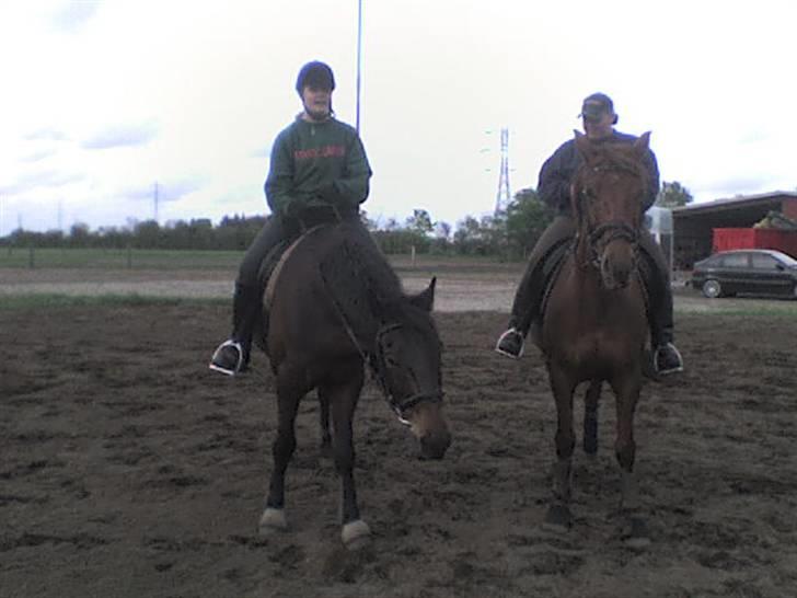 Oldenborg rivaldo ´` solgt `` - her holder vi lige en lille pause billede 10