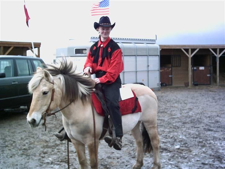 Fjordhest Jessie 1988-2008 RIP  billede 2