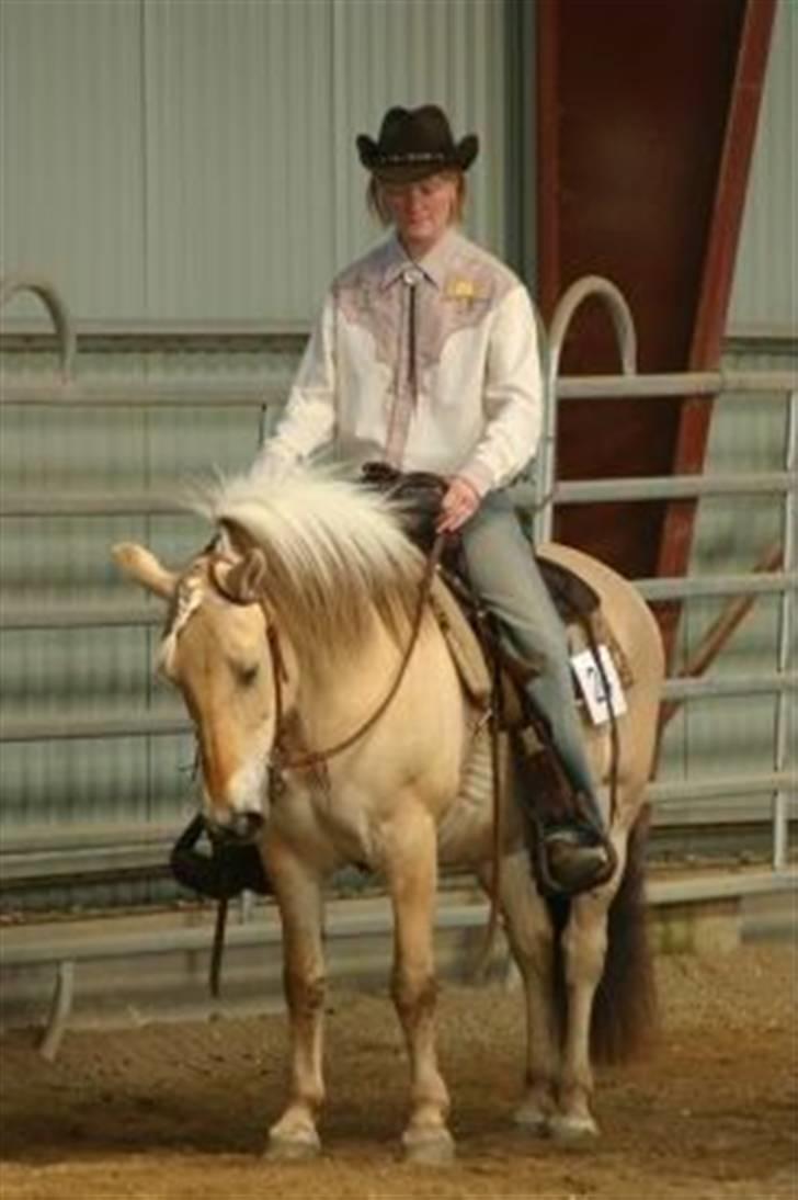 Fjordhest Jessie 1988-2008 RIP  billede 3