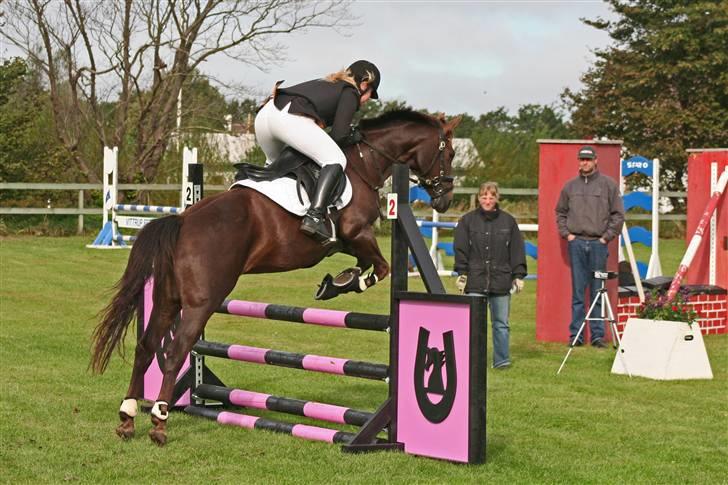 Anden særlig race Rozita - RIP <3. - Til stævne på NRC (´: billede 7
