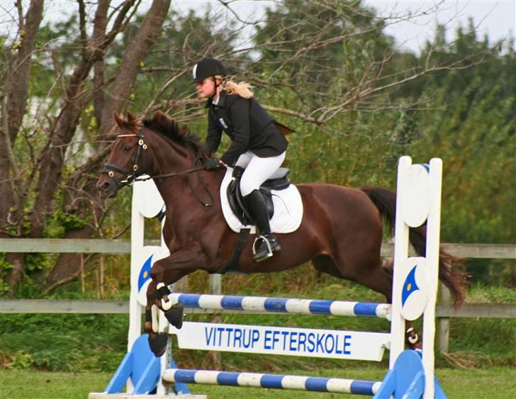 Anden særlig race Rozita - RIP <3. - Til stævne på NRC <3 billede 9