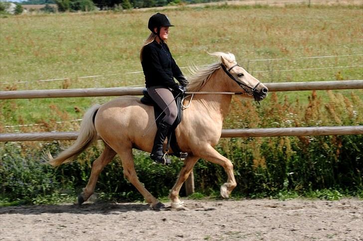 Islænder Brandari fra Jelshøj - Muddi og jeg. August 2010. billede 4